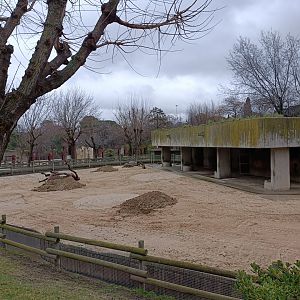 Empty exhibit. Old american bison exhibit