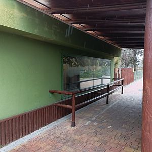 Giant anteater house