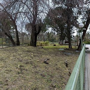 Giant anteater exhibit