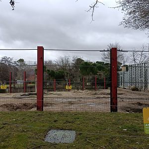 Asiatic elephant exhibit
