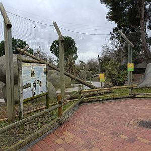 Ringed tailed lemur and brown lemur exhibit
