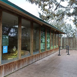 Tortoise indoor exhibit