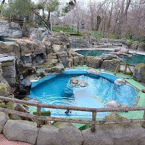 African penguin exhibit