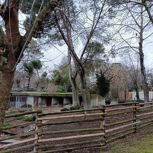 South American tapir exhibit