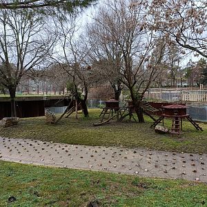 Red panda and muntjac exhibit