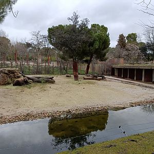 Mishmi takin exhibit