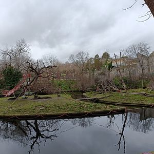 Tufted capuchin exhibit