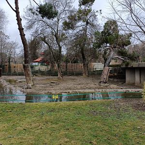 Pere david´s deer exhibit