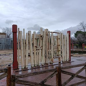 Training zone for elephants