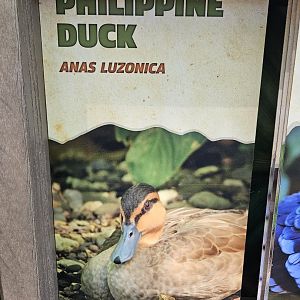 A new sign for another new bird