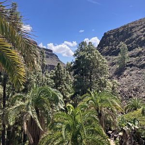 View of the valley from the zoo, 28/3/2024