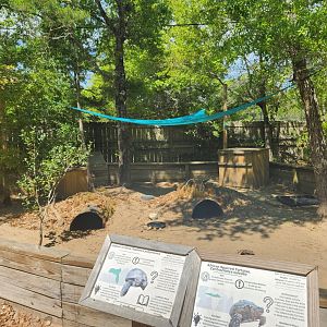 Emerald Coast Wildlife Refuge - Tortoise yard