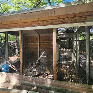 Emerald Coast Wildlife Refuge - Squirrel exhibit