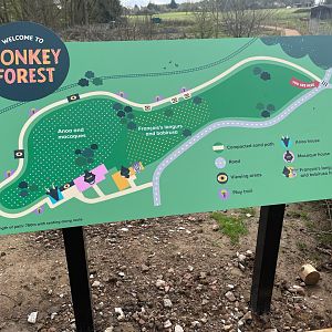 Map of Monkey Forest