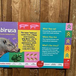 Babirusa Signage, Monkey Forest