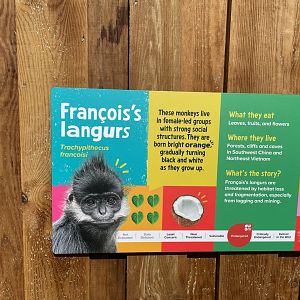 François’s Langur Signage, Monkey Forest