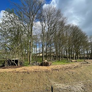 Sulawesi crested Macaque Enclosure, Monkey Forest