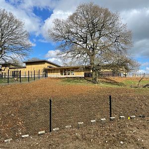 Monkey Forest Main Building