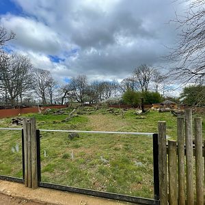 Cape porcupine & Meerkat Enclosure