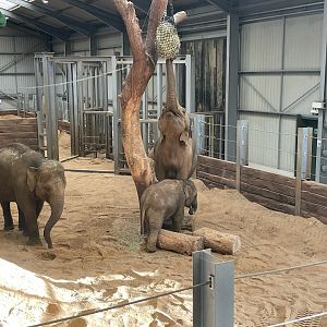 Nang Phaya being used as a stool