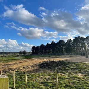 Asian Elephant Main Outdoor Enclosure