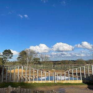 Ming Jung in his Paddock