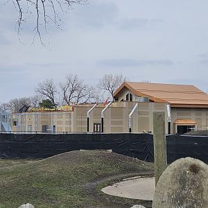 Lion Construction - March 2024