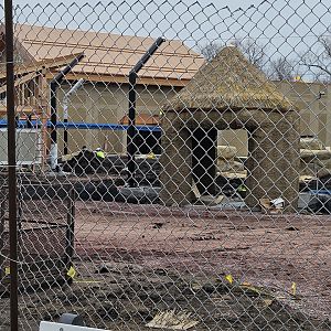 Lion Construction - March 2024