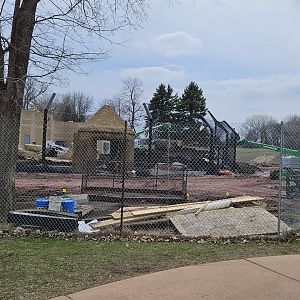 Lion Construction - March 2024