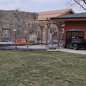 Lion Construction - March 2024