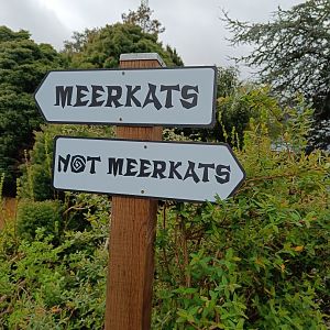 'Descriptive' signage