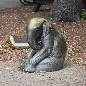 Baby Elephant Statue