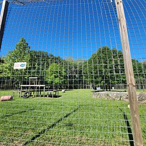Carson Springs - Gator the tigers enclosure