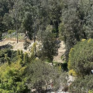 Panda Canyon Construction