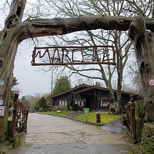 Entrance -Marcelle Naturaleza