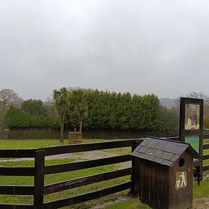 Dromedary exhibit -Marcelle Naturaleza