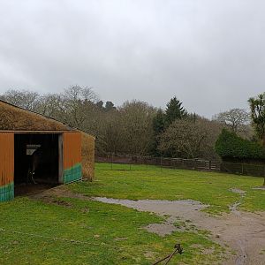 Dromedary exhibit -Marcelle Naturaleza