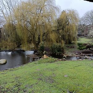 Mixed bird exhibit -Marcelle Naturaleza