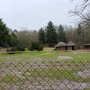 Fallow deer exhibit -Marcelle Naturaleza