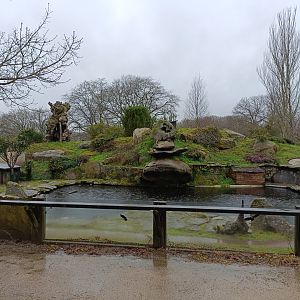 Capybara exhibit -Marcelle Naturaleza