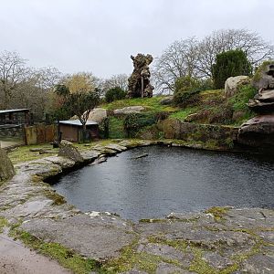 Capybara exhibit -Marcelle Naturaleza