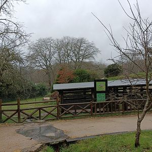 Rhea and guanaco stable -Marcelle Naturaleza