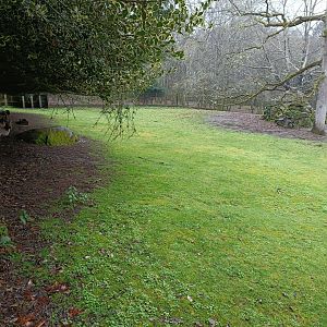 Iberian ibex exhibit -Marcelle Naturaleza