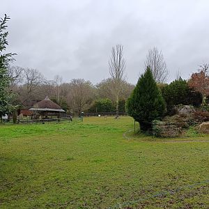 Rhea and guanaco exhibit -Marcelle Naturaleza