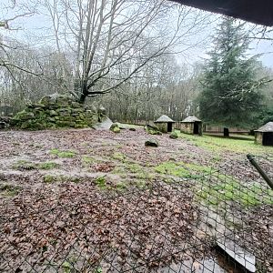 Iberian ibex exhibit -Marcelle Naturaleza