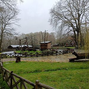 Monkeys islands -Marcelle Naturaleza