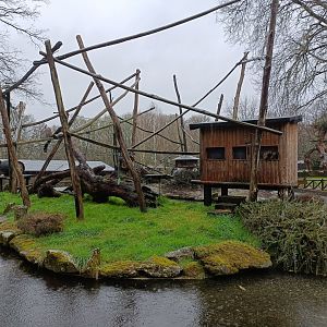 White-headed lemur exhibit -Marcelle Naturaleza
