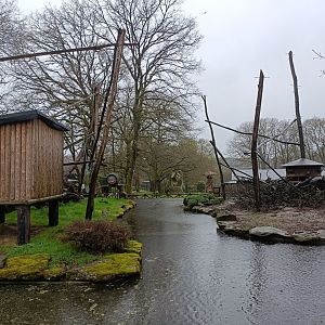 White-headed lemur and tufted capuchin exhibits -Marcelle Naturaleza