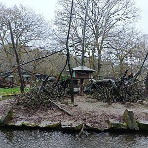 Tufted capuchin exhibit -Marcelle Naturaleza