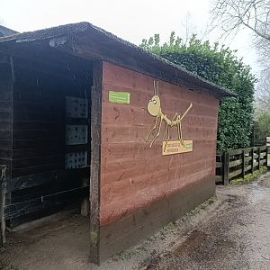 Arthropod exhibition -Marcelle Naturaleza